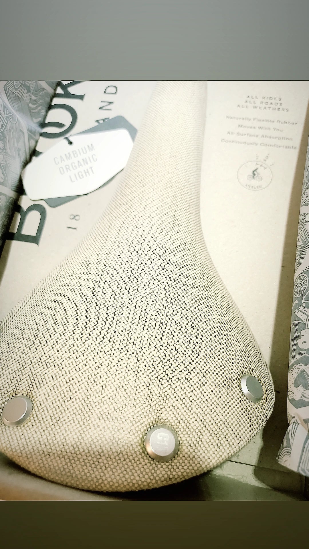 Brooks C17 Special Cambium Organic Light Liquid Wood