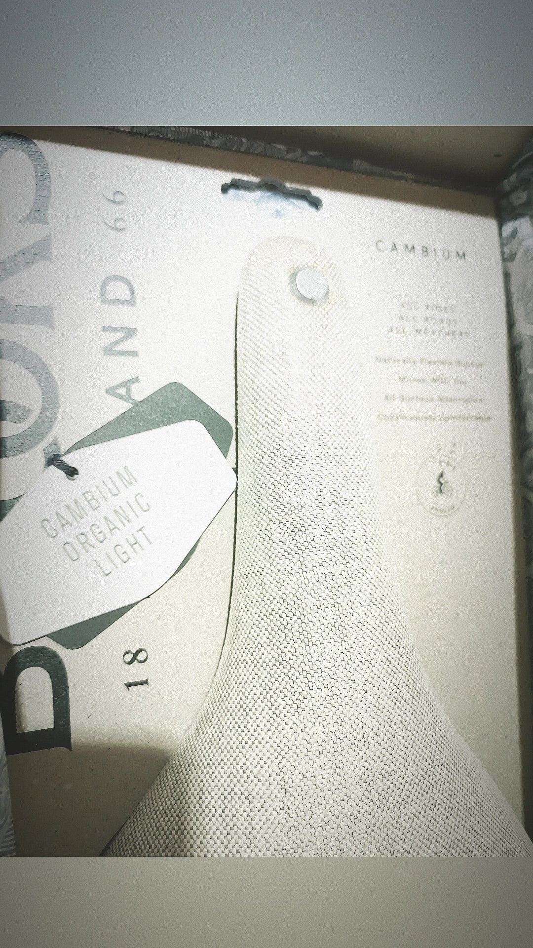 Brooks C17 Special Cambium Organic Light Liquid Wood